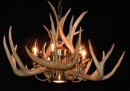 white-tail deer antler chandelier image