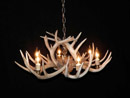 whitetail deer antler chandelier image