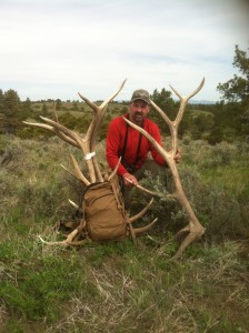 Elk Antlers 5/18/2014