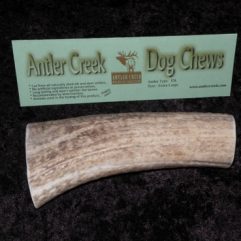 Extra-Large antler dog chew image