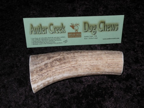 Extra-Large antler dog chew image