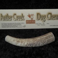 Large antler dog chew image