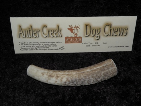 Large antler dog chew image