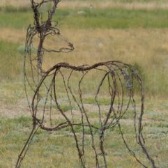 Bald Eagle Wire Sculpture – Antler Creek Wildlife Creations