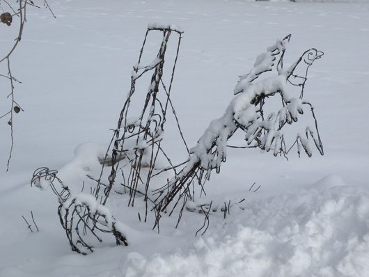 Wire Pheasant Sculpture - Image 2