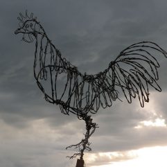 Barbed Wire Rooster
