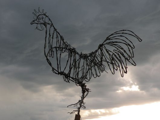 Barbed Wire Rooster