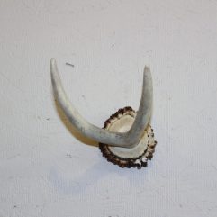 Antler coat wall hanger hook