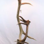 Elk antler floor lamp for sale