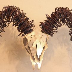 big-horn-sheep-skull-wire-and-metal-sculpture-2