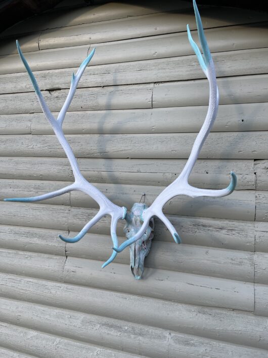 elk antler European mount painted white and turquoise