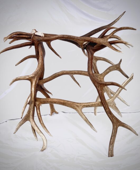 Elk Antler Saddle Rack