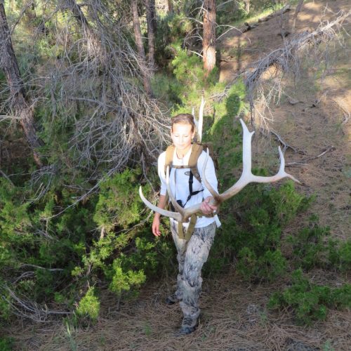 Sara antler hunting